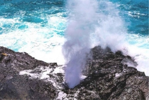 Oahu-sirkeltur med adgang til Byodo-In-tempelet