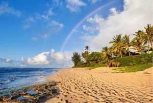 Oahu-sirkeltur med adgang til Byodo-In-tempelet