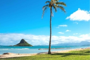 Oahu-sirkeltur med adgang til Byodo-In-tempelet