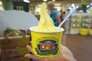 Oahu-sirkeltur med adgang til Byodo-In-tempelet