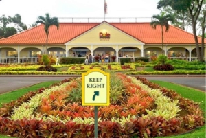 Oahu-sirkeltur med adgang til Byodo-In-tempelet