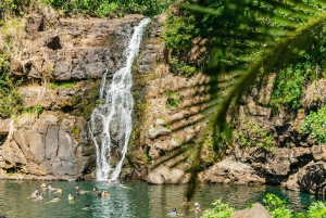 Oahu: Circle Island Tour with Lunch & Waimea Waterfall