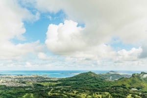 Oahu: Excursión a la Isla Circular con Almuerzo y Cascada de Waimea