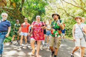 Oahu: Circle Island Tour med lunch och Waimea Waterfall