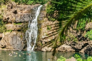 Oahu: Circle Island Tour med frokost og Waimea Waterfall