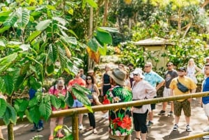 Oahu: Circle Island-tour met lunch en Waimea-waterval