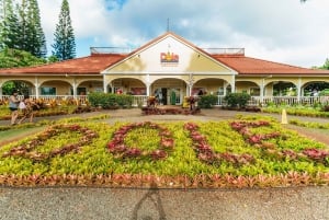 Oahu: tour di Circle Island con pranzo e cascata di Waimea