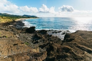 Oahu: Insel-Tour mit Mittagessen und Waimea-Wasserfall