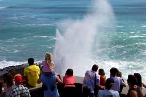 Oahu: Waimea vesiputouksen kanssa