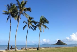 Oahu: Waimea vesiputouksen kanssa