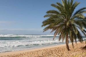 Oahu: Waimea vesiputouksen kanssa