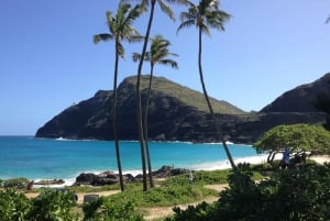 Oahu: Waimea vesiputouksen kanssa