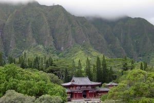 Oahu: Waimea vesiputouksen kanssa