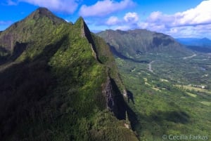 Oahu: Waimea vesiputouksen kanssa
