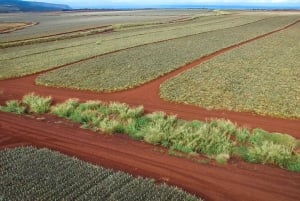 Oahu: Waimea vesiputouksen kanssa