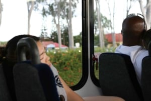 Oahu: Waimea vesiputouksen kanssa