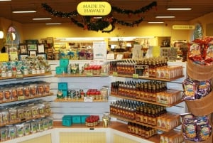 Oahu: Waimea vesiputouksen kanssa