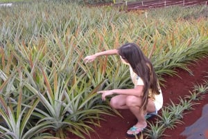 Oahu: Waimea vesiputouksen kanssa