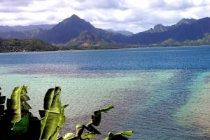 Oahu: Waimea vesiputouksen kanssa