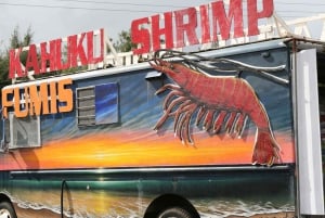 Oahu: Waimea vesiputouksen kanssa