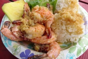 Oahu: Waimea vesiputouksen kanssa