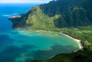 Oahu: Waimea vesiputouksen kanssa