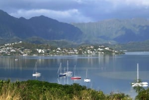 Oahu: Waimea vesiputouksen kanssa