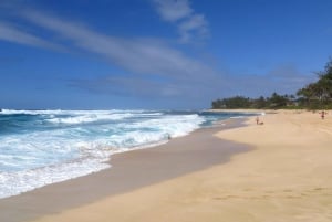 Oahu: Waimea vesiputouksen kanssa