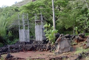 Oahu: Waimea vesiputouksen kanssa