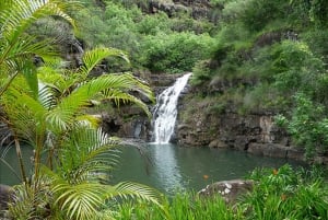 Oahu: Waimea vesiputouksen kanssa