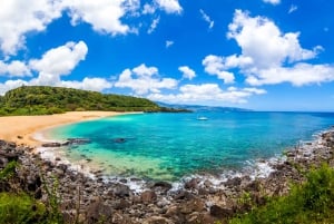 Oahu: Excursión Completa por la Isla con Baño en Cascada Tropical