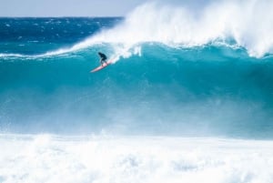 Oahu: Tour completo dell'isola con nuoto nelle cascate tropicali