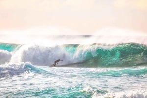 Oahu: Komplet ø-tur med tropisk vandfald