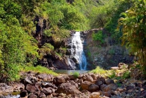 Oahu : Tour complet de l'île avec une chute d'eau tropicale