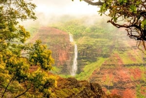 Oahu: Komplett ötur med tropiskt vattenfall