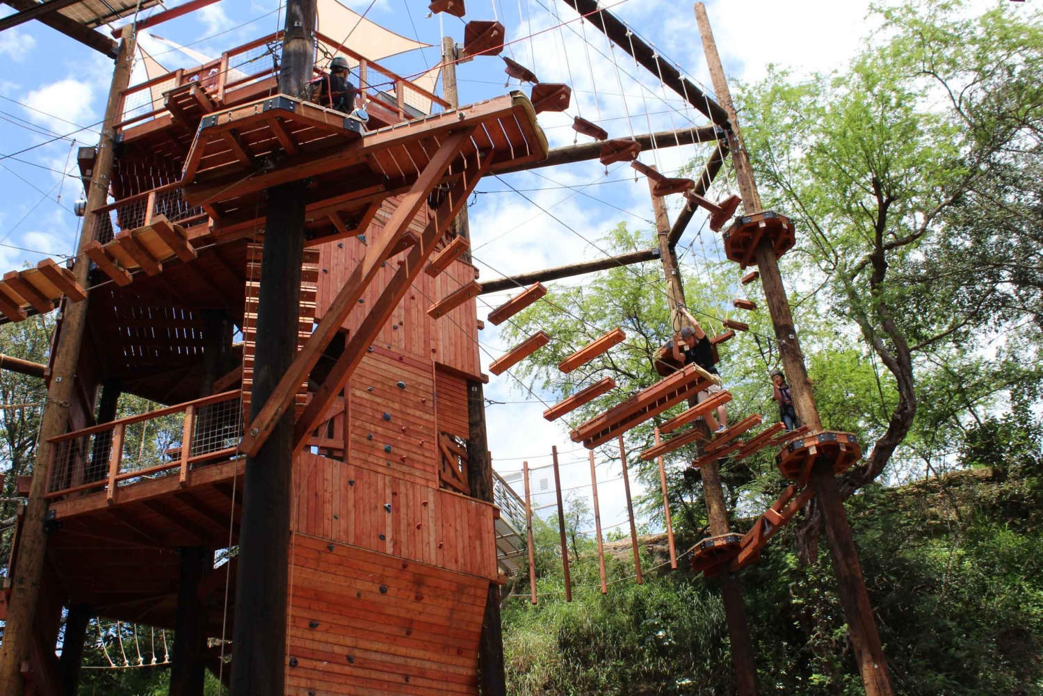 Oahu: Coral Crater Aerial Challenge Course