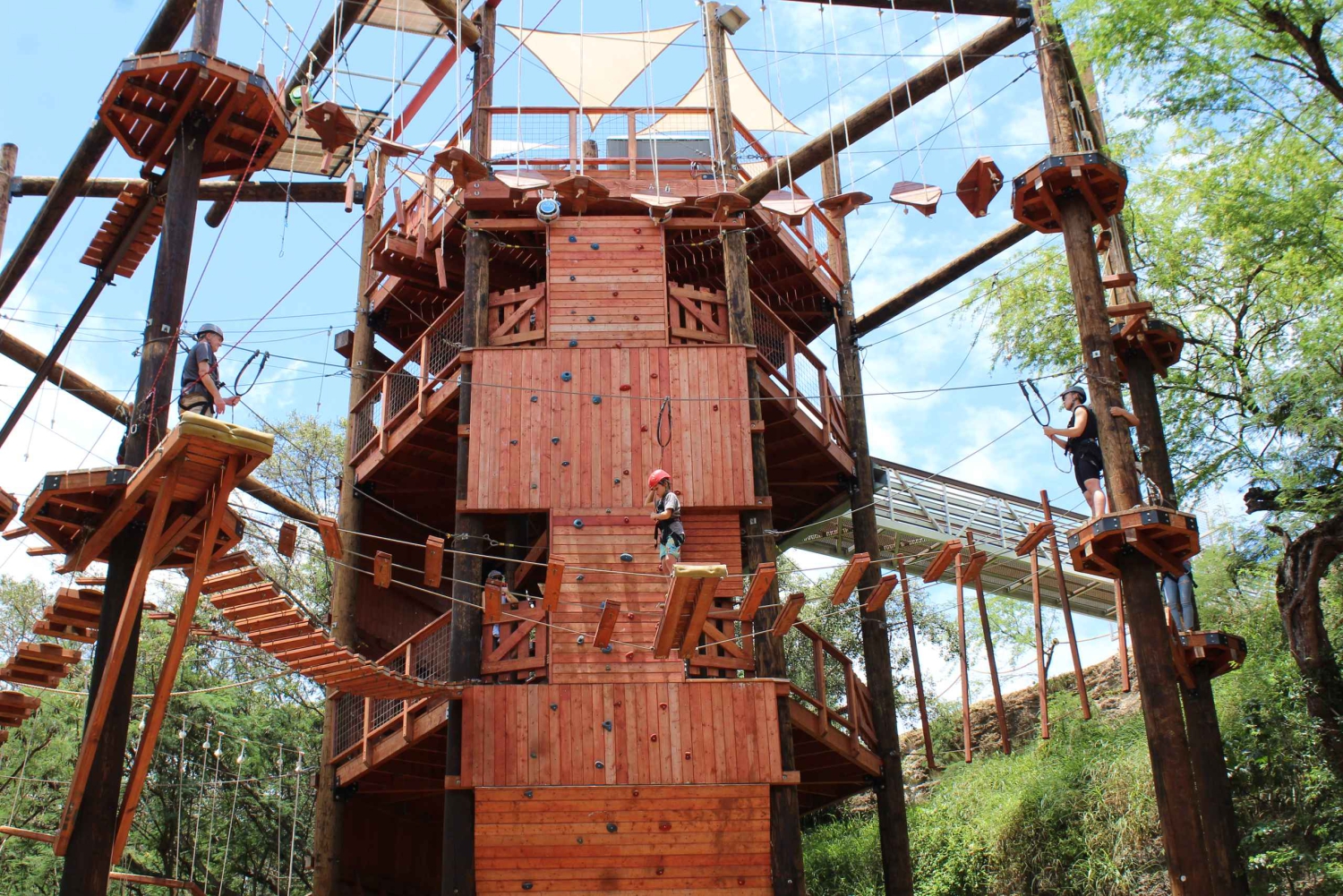 Oahu: Coral Crater Aerial Challenge Course