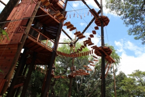 Oahu: Coral Crater Aerial Challenge Course