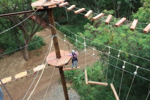 Oahu: Coral Crater Aerial Challenge Course