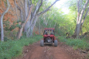 Oahu: Coral Crater Zipline och Offroad ATV-äventyr