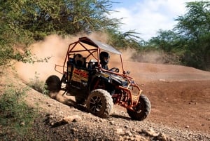 Oahu: Coral Crater Zipline og offroad ATV-eventyr
