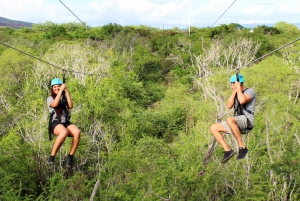 Oahu: Coral Crater Zipline Tour
