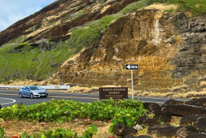 Oahu: Diamond Head Crater Hike and North Shore Experience