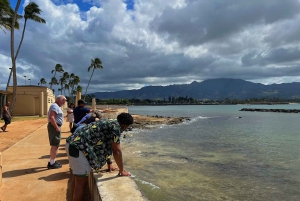 Oahu: Diamond Head Crater Hike and North Shore Experience