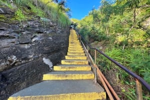 Oahu: Diamond Head Crater Hike and North Shore Experience