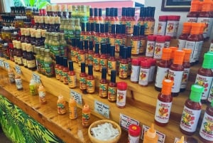 Oahu: Diamond Head Crater Hike and North Shore Experience