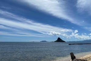 Oahu: Diamond Head Crater Hike and North Shore Experience