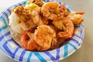 Oahu: Diamond Head Crater Hike and North Shore Experience