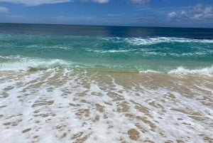 Oahu: Diamond Head Crater Hike and North Shore Experience