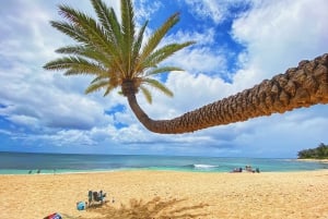 Oahu: Diamond Head Crater Hike and North Shore Experience